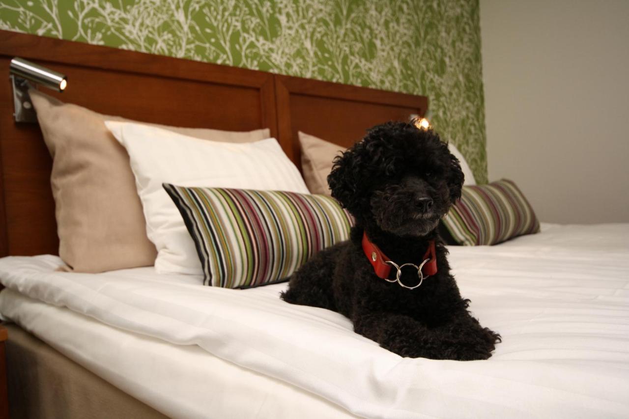 Hotell Conrad 카를스크로나 외부 사진